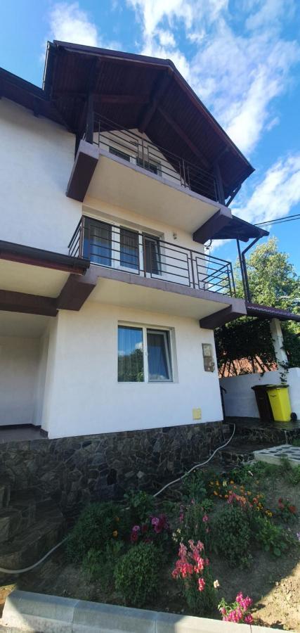 Hotel Casa Silvia Căpăţîneni-Ungureni Exterior foto