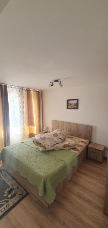 Hotel Casa Silvia Căpăţîneni-Ungureni Exterior foto