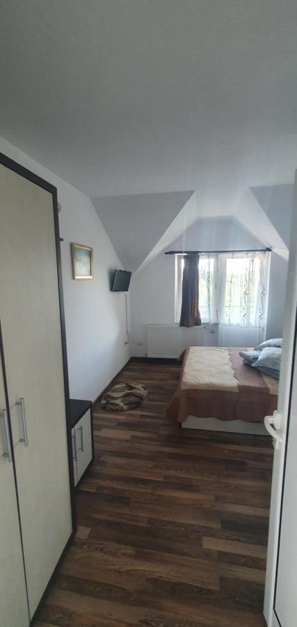 Hotel Casa Silvia Căpăţîneni-Ungureni Exterior foto
